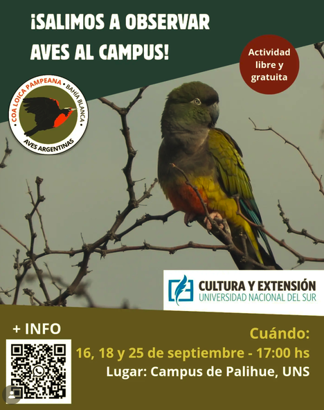 Salidas de Observación de Aves en el Campus UNS Palihue