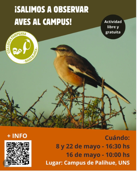 Avistaje de aves en el campus de la UNS