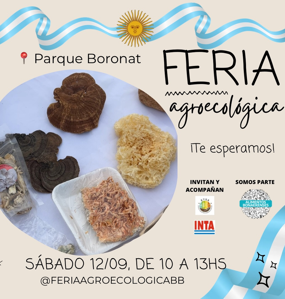 Feria Agroecológica en el Parque Boronat