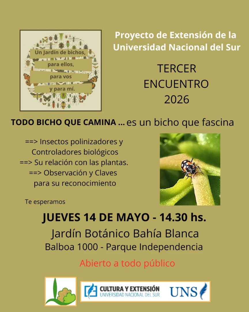 Todo bicho que camina... es un bicho que fascina